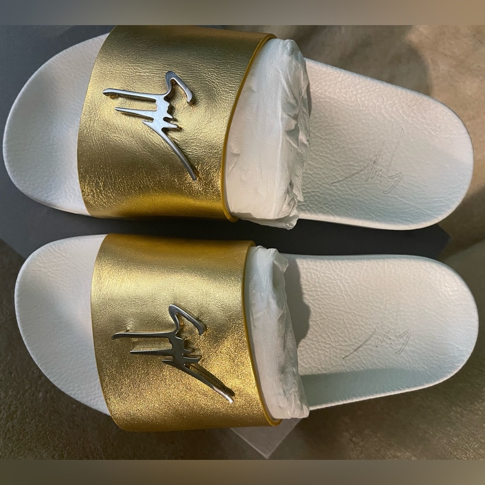 Giuseppe zanotti slides